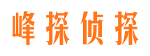 镇康市私家调查